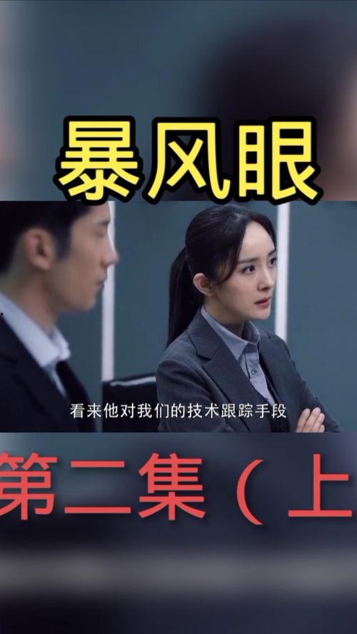 暴风眼电视剧,卧底风云，智勇对决