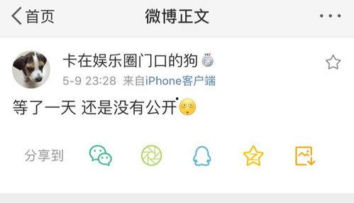 吃瓜爆料卡点,揭秘娱乐圈幕后真相