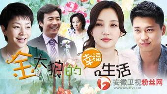 电视剧金太狼的幸福生活,家庭温馨与爱的交响曲