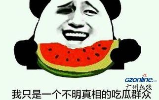 网络用语吃瓜是什么意思啊,吃瓜背后的趣味与内涵