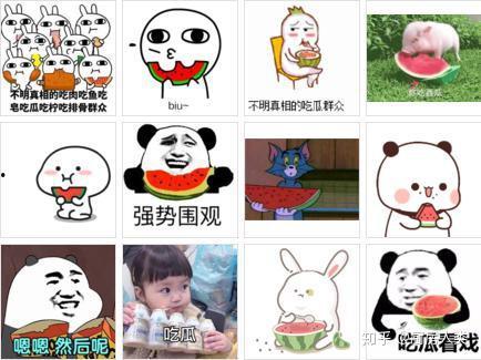 网络用语吃瓜是什么意思啊,吃瓜背后的趣味与内涵